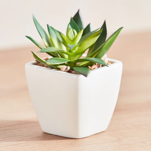 Artificial Plant Succulent in Ceramic Pot