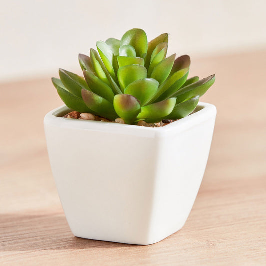 Artificial Plant Succulent in Ceramic Pot