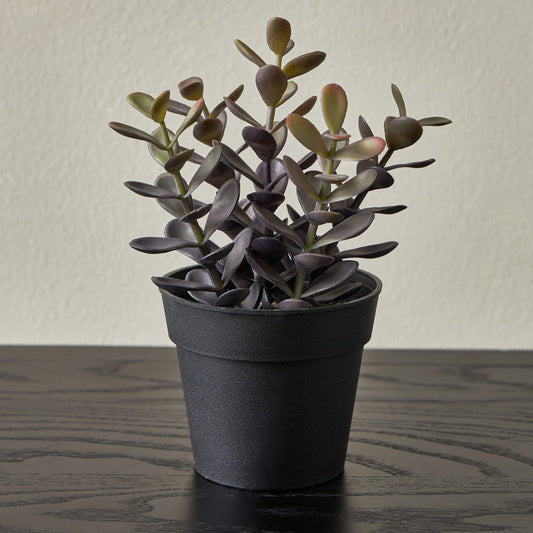 Artificial Plant Succulent in Pot