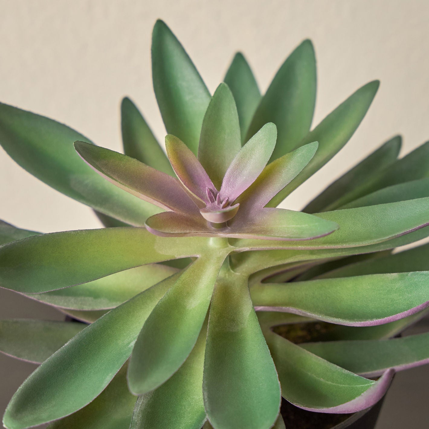 Artificial Plant Succulent in Pot