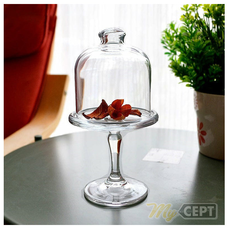 Glass Stand with Dome