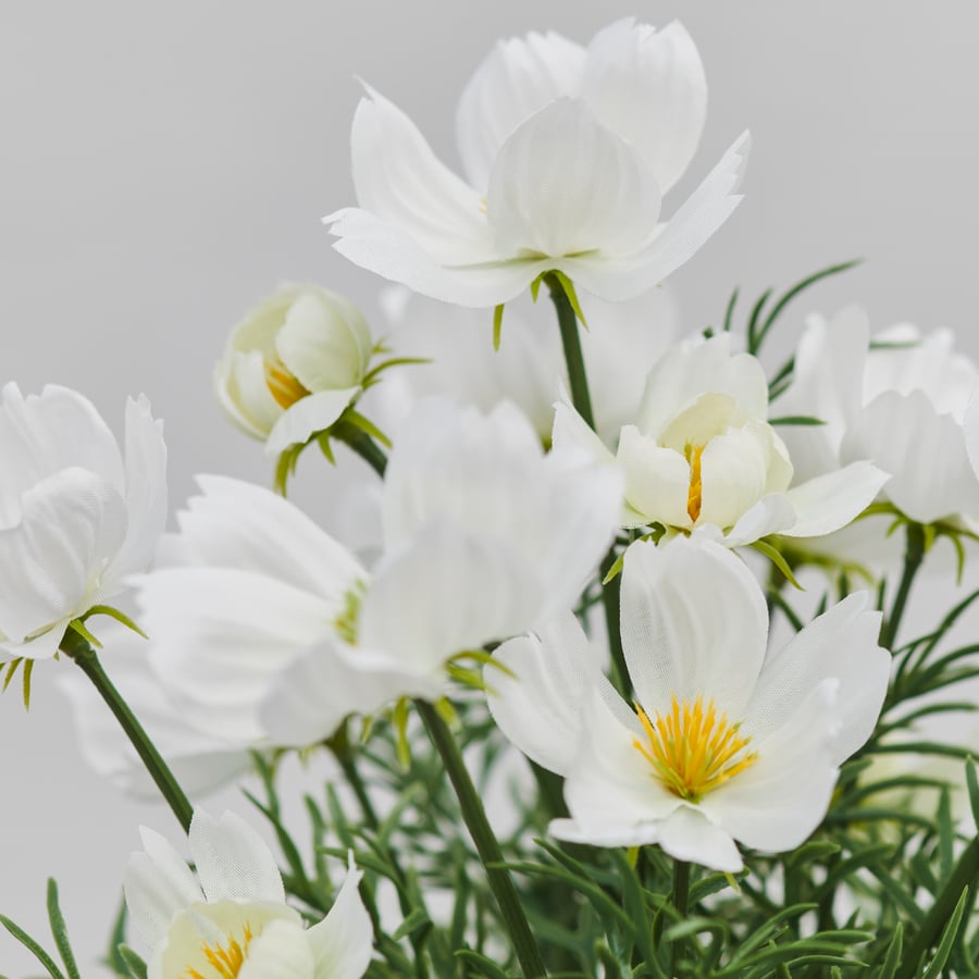 Artificial Plant Cosmos White