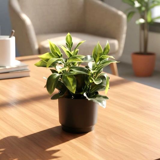 Artificial Mini Plant Pot Black