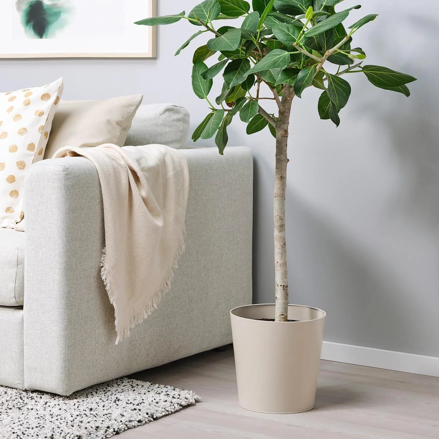 Plant Pot - Beige