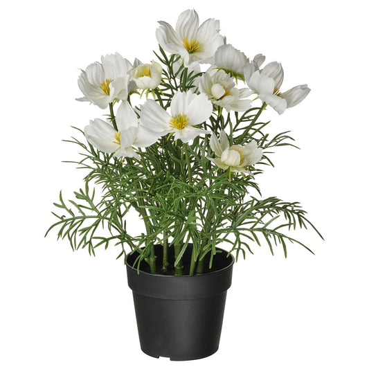 Artificial Plant Cosmos White