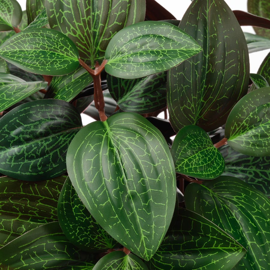 Artificial Plant Jewel Orchid
