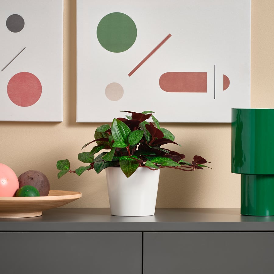 Artificial Plant Jewel Orchid
