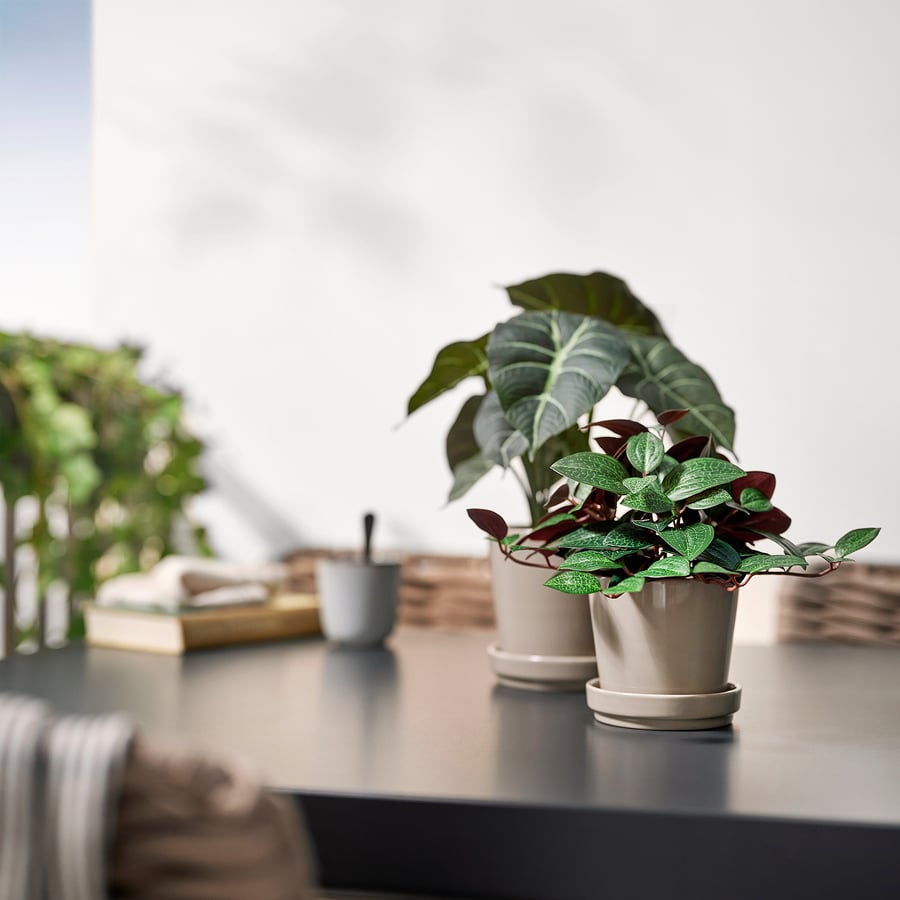 Artificial Plant Jewel Orchid