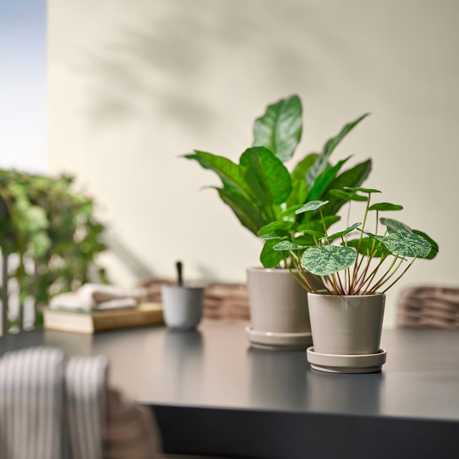Artificial Plant Pilea