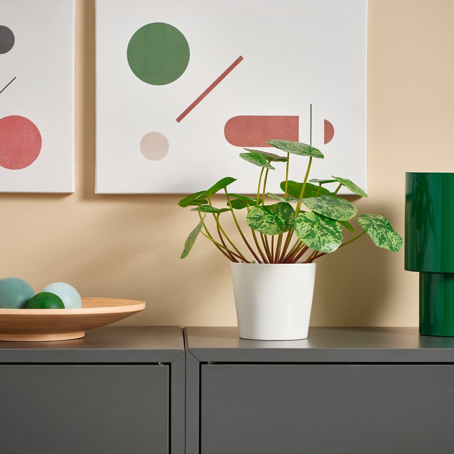 Artificial Plant Pilea