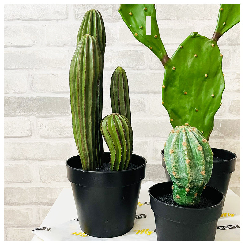 Artifical Plant Large Cactus 3-Pk