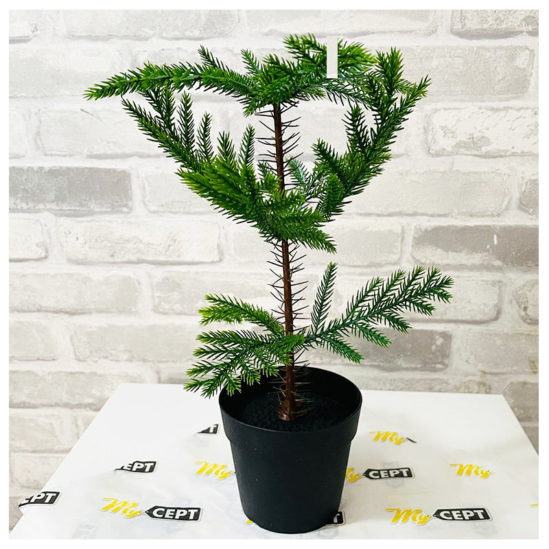 Artificial Plant Norfolk Pine
