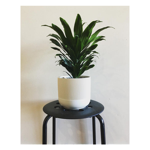 Stool - Black
