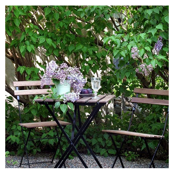 Outdoor Table With 2 Chairs