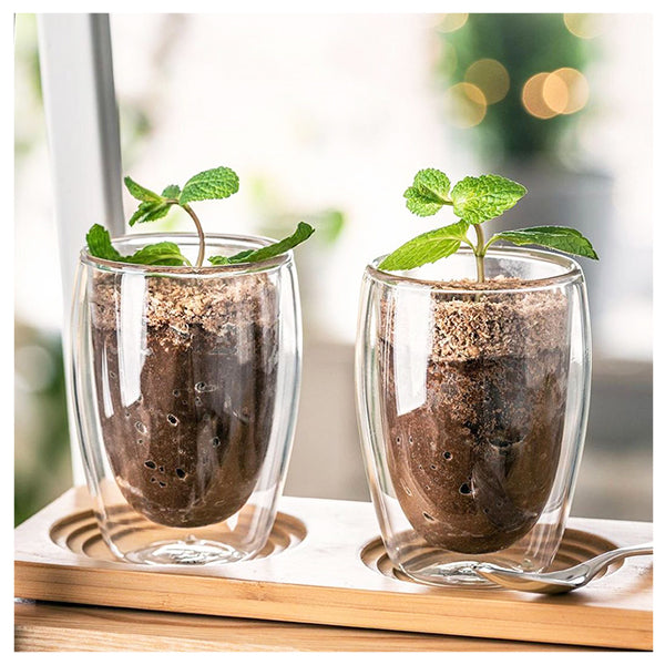 Double Wall Glass 250ml