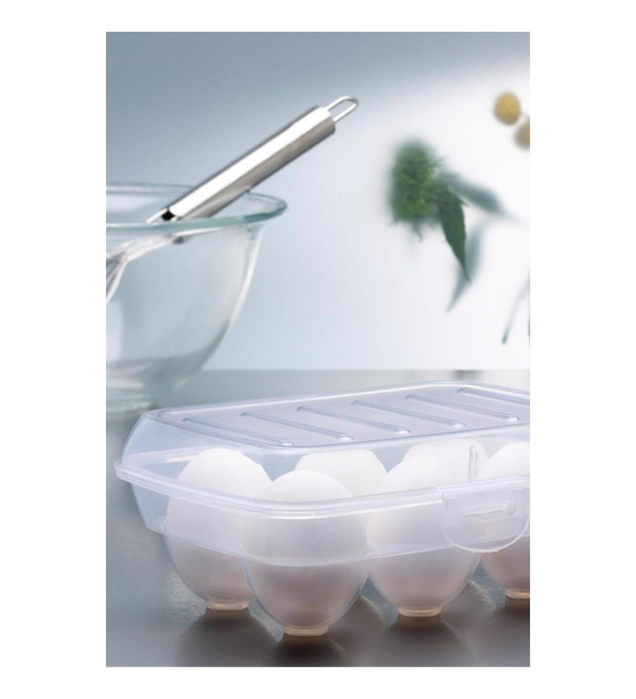 Egg Box For 6 Eggs