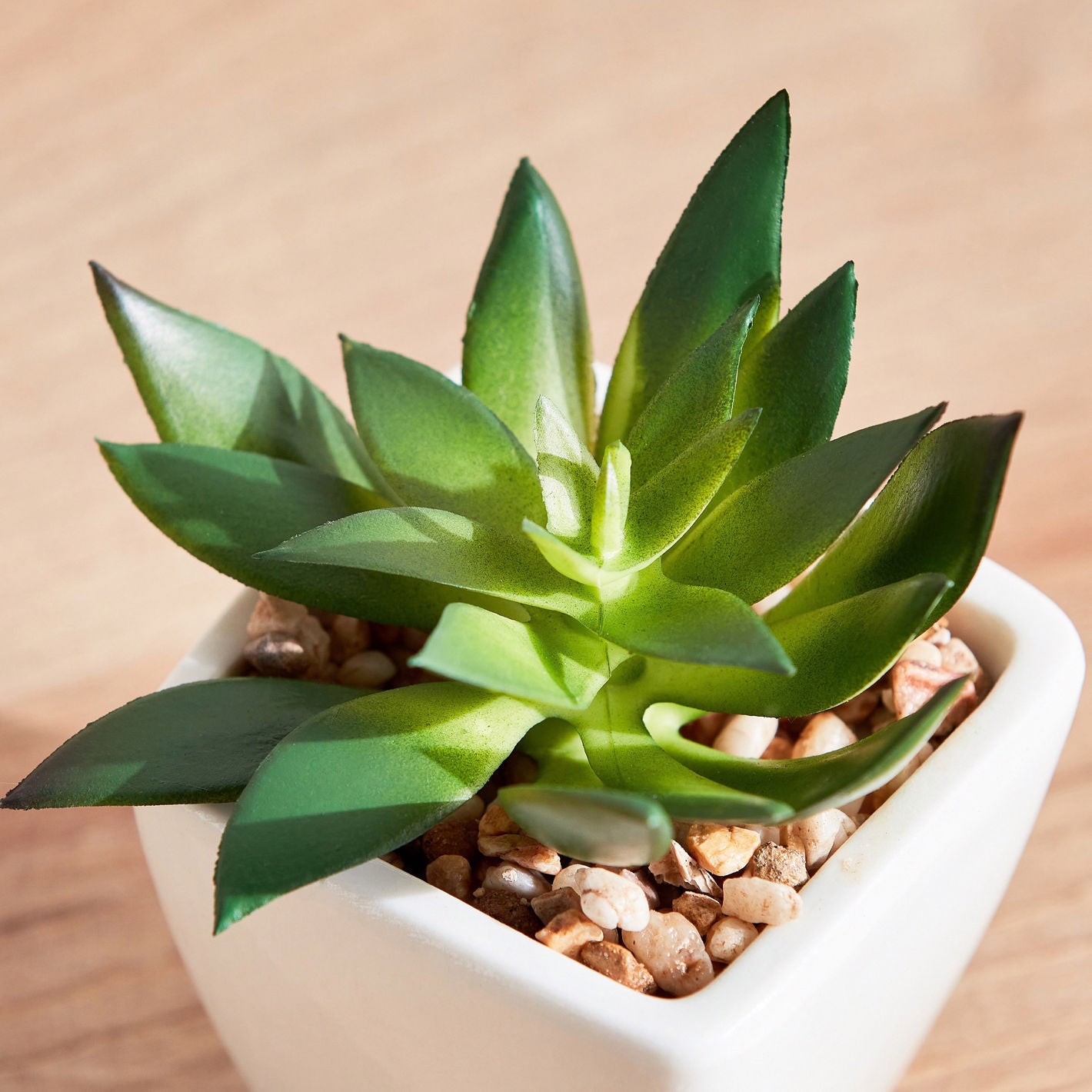 Artificial Plant Succulent in Ceramic Pot