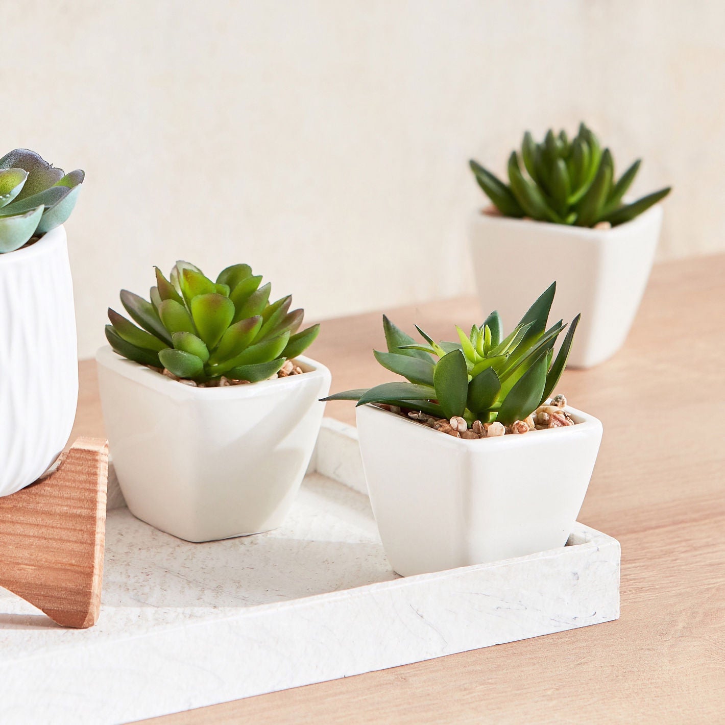 Artificial Plant Succulent in Ceramic Pot