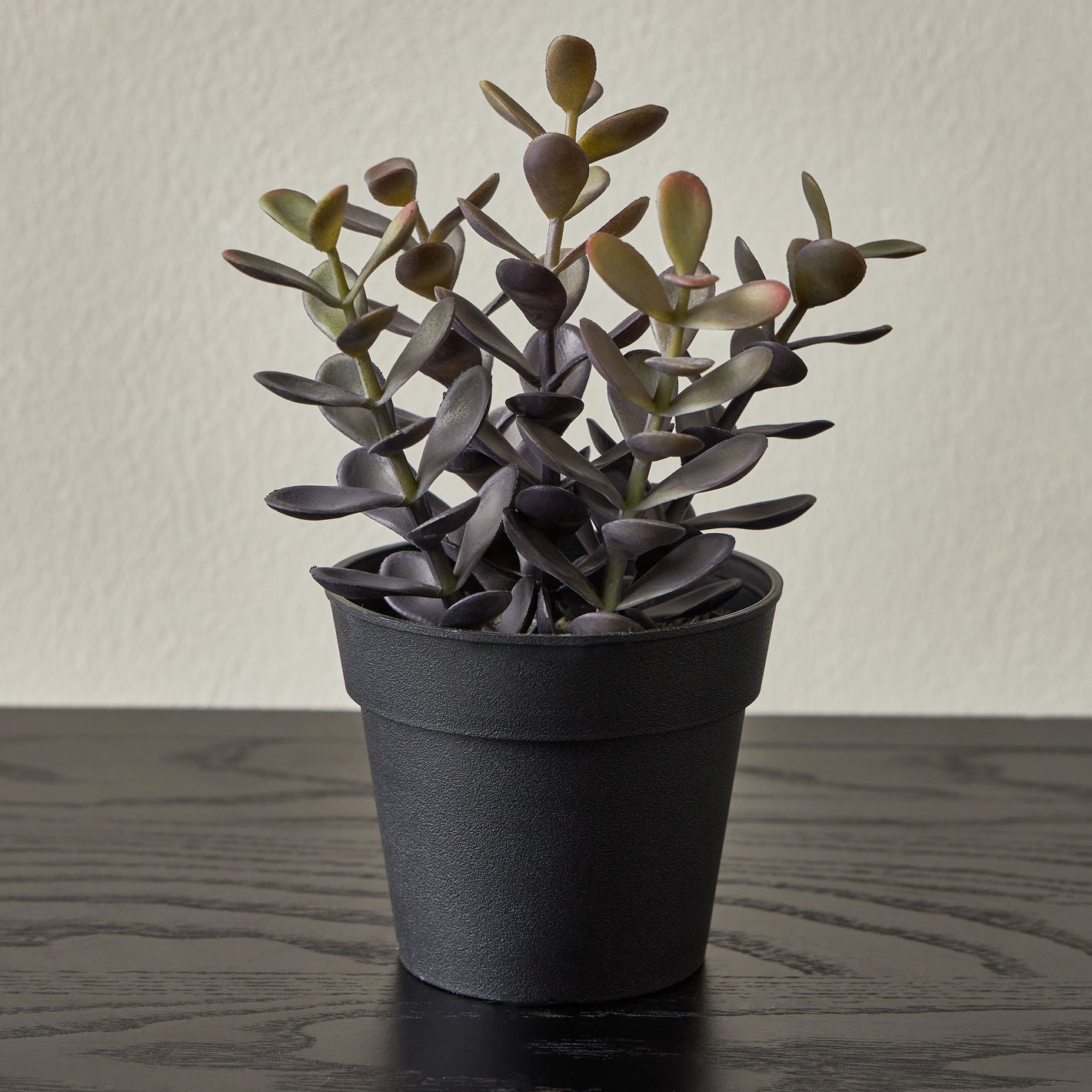 Artificial Plant Succulent in Pot