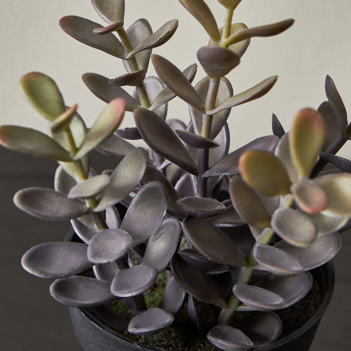 Artificial Plant Succulent in Pot