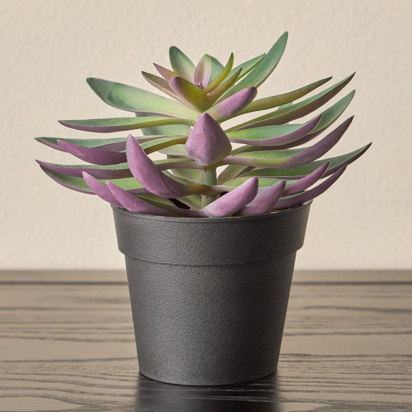 Artificial Plant Succulent in Pot
