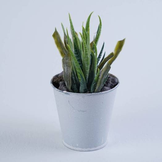 Artificial Plant Neem Succulent