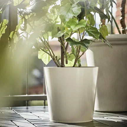 Plant Pot - Beige