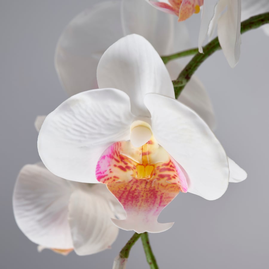 Artificial Plant Orchid White