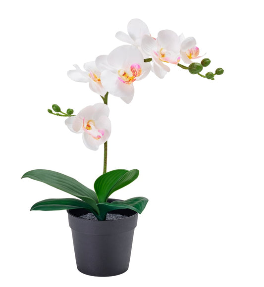 Artificial Plant Orchid White