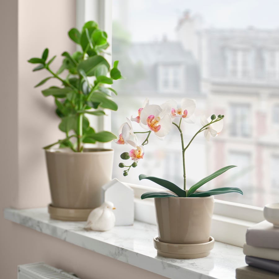 Artificial Plant Orchid White