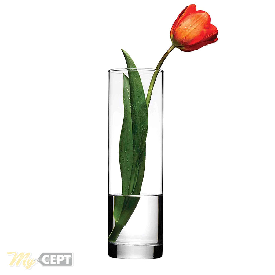 Transparent Glass Vase 23cm