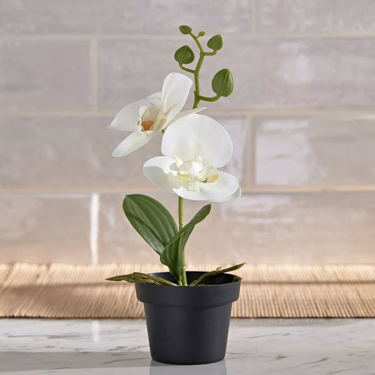 Artificial Plant - Orchid White