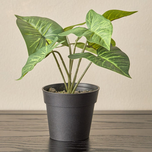 Artificial Plant Arrowhead
