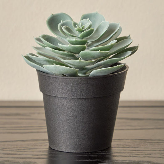 Artificial Plant Succulent