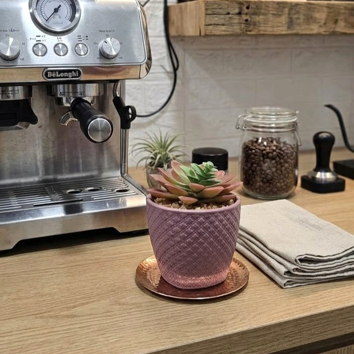 Mini Artificial Plant Succulent Peach