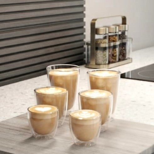 Double Wall Glass Set of 6