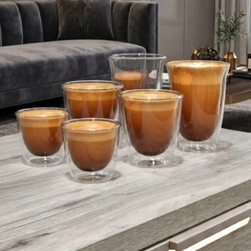 Double Wall Glass Set of 6
