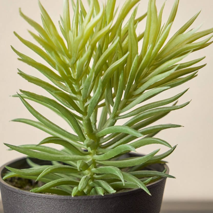 Artificial Plant Succulent