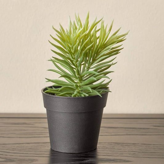 Artificial Plant Succulent
