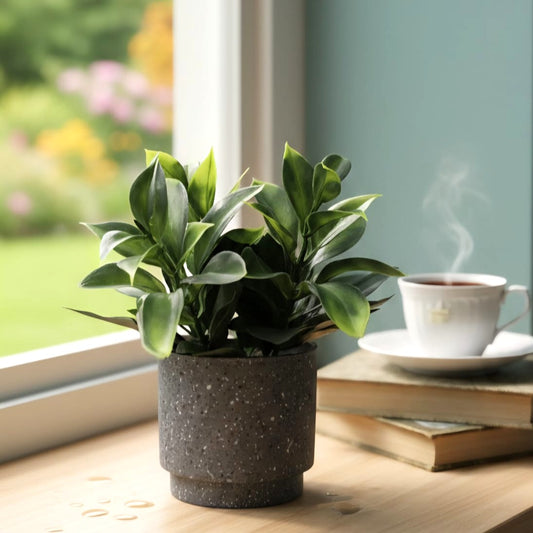 Artificial Mini Plant Pot Grey