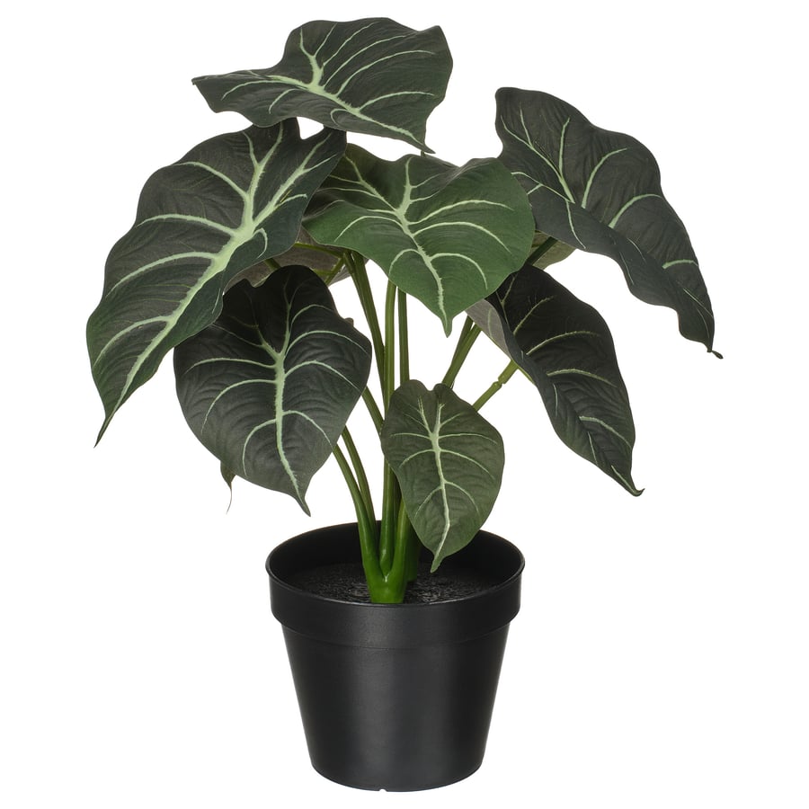 Artificial Plant Alocasia