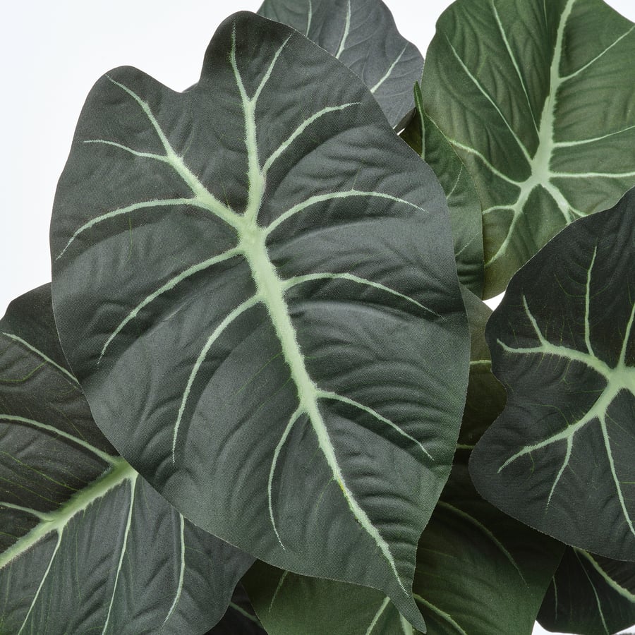 Artificial Plant Alocasia