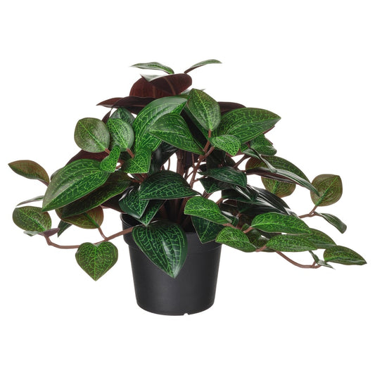 Artificial Plant Jewel Orchid