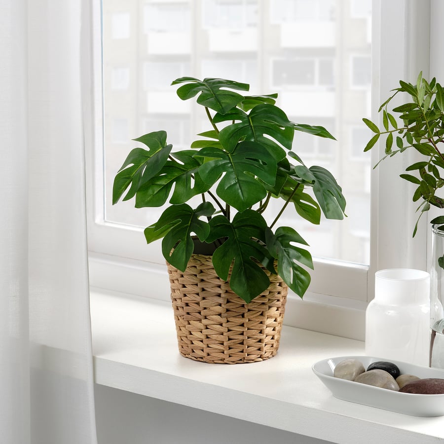 Artificial Plant Monstera