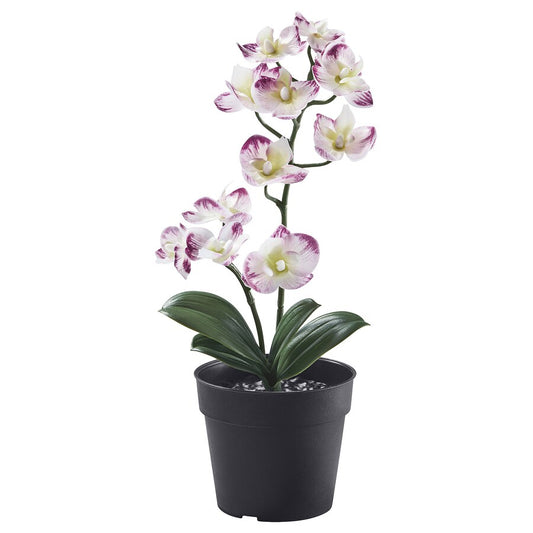 Artificial Plant Orchid Purple