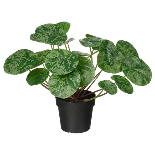 Artificial Plant Pilea