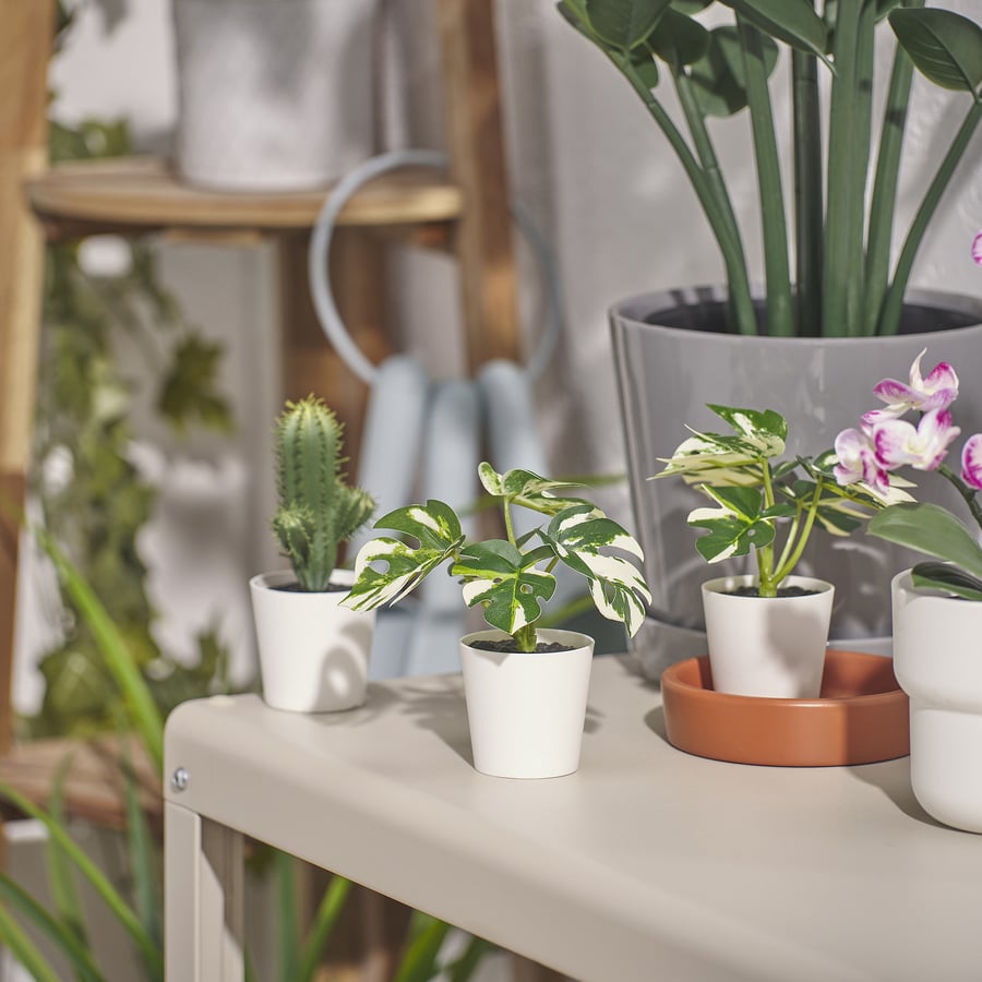 Artificial Plant Mini Monstera