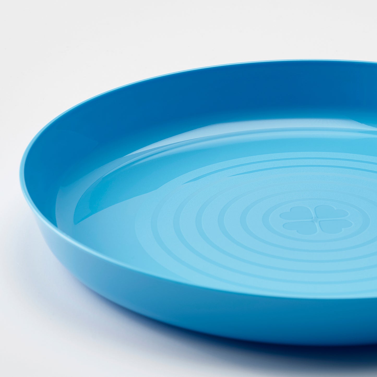 Kids Plates Pack of 6