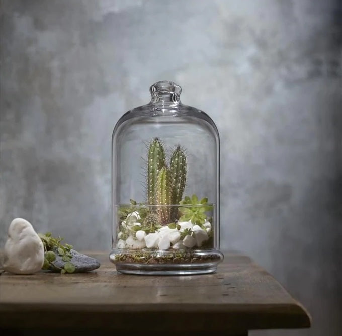 Glass Dome with Base