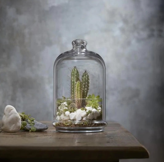 Glass Dome with Base